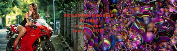 MESCALINE Карпинск